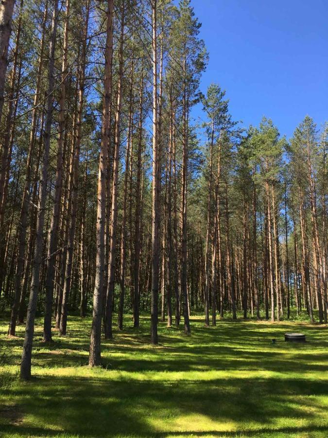 Reinholdi Puhkemaja Villa Jabara Екстериор снимка