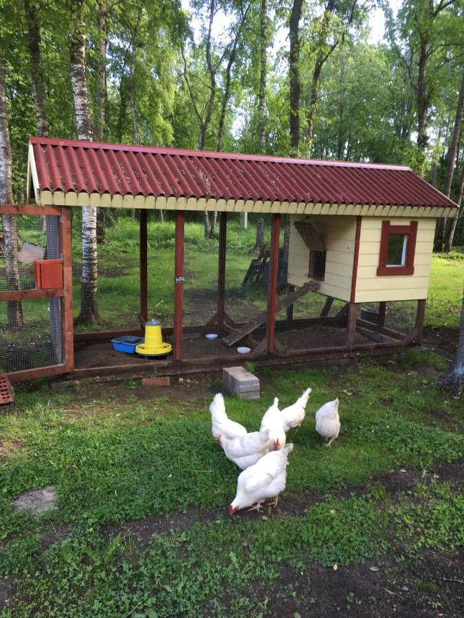 Reinholdi Puhkemaja Villa Jabara Екстериор снимка