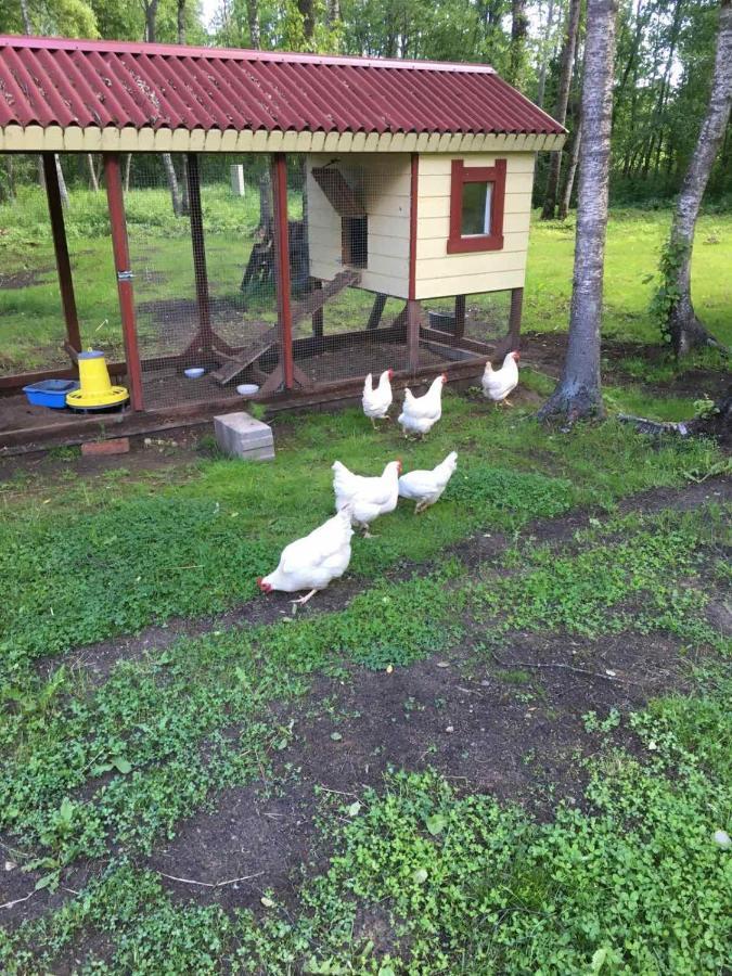 Reinholdi Puhkemaja Villa Jabara Екстериор снимка
